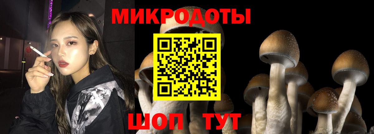 Галлюциногенные грибы Cubensis  Вход с VPN  Северск  Галлюциногенные грибы мицелий 